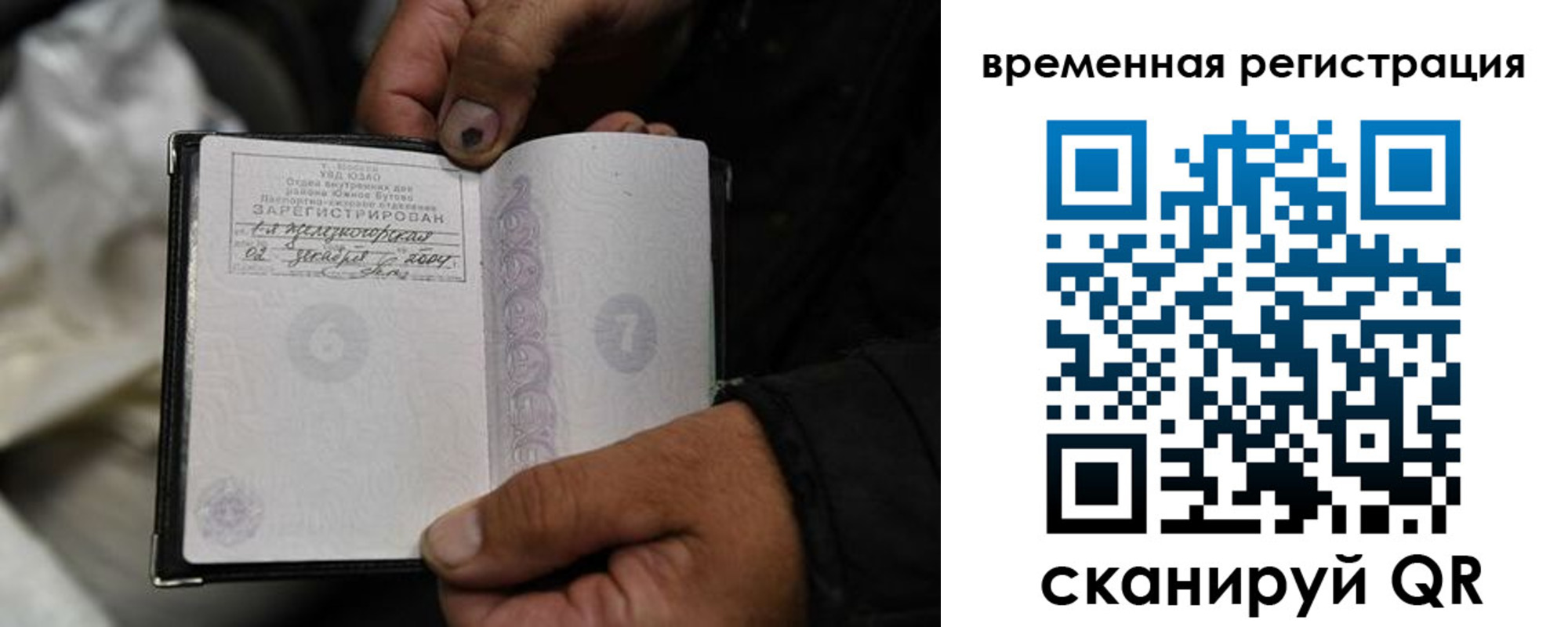 прописка поиск в Курской области